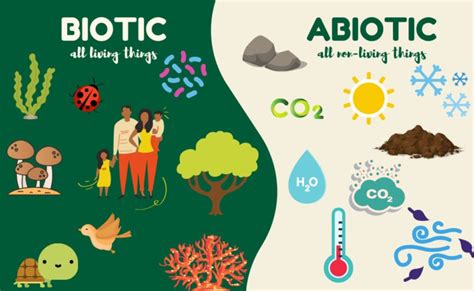 12 Different Types of Ecosystems and Why They Are Important