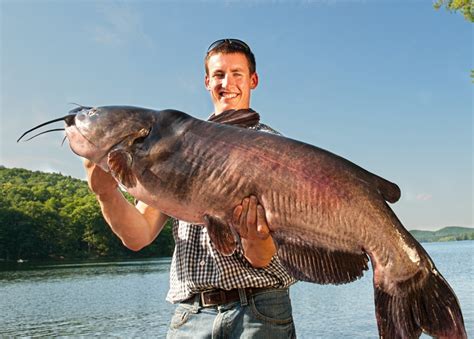 State Fishing Records - Vermont