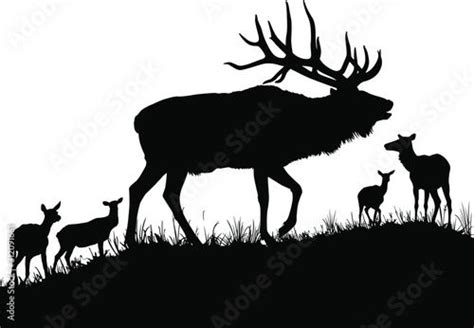 Bull Elk Bugling Silhouette Vector