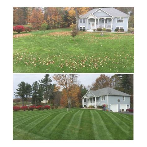 Fall Cleanup | Lawn Envy