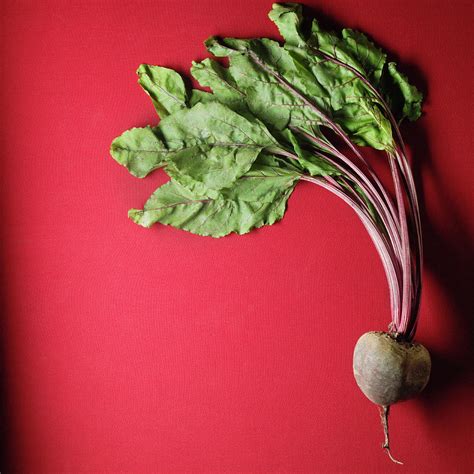 Organic Beet Photograph by Monica Rodriguez - Fine Art America