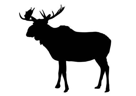 Elk Bugling Silhouette at GetDrawings | Free download