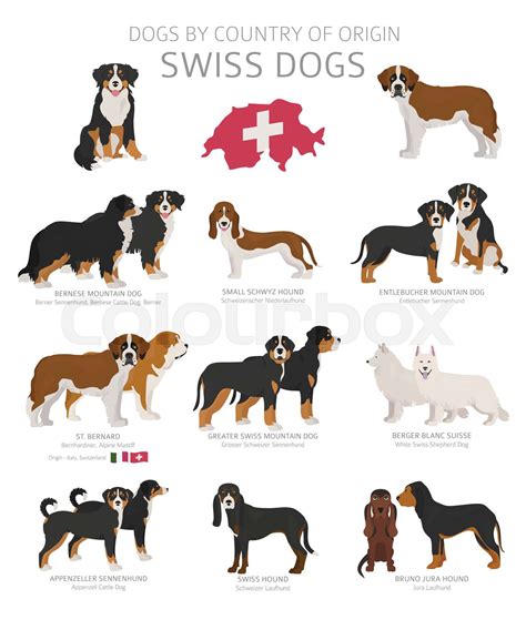 Dogs by country of origin. Swiss dog breeds. Shepherds, hunting ...