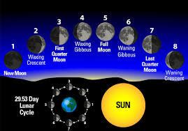 Seasons, Earth/Moon/Sun, Moon Phases Diagram | Quizlet