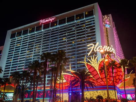 Flamingo Hotel Information