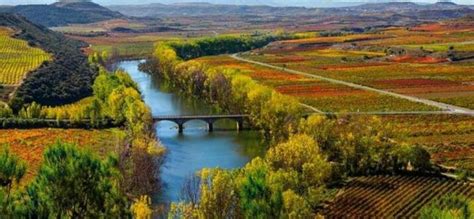 Top 10 Wine Tours In La Rioja, Spain - Updated 2024 | Trip101