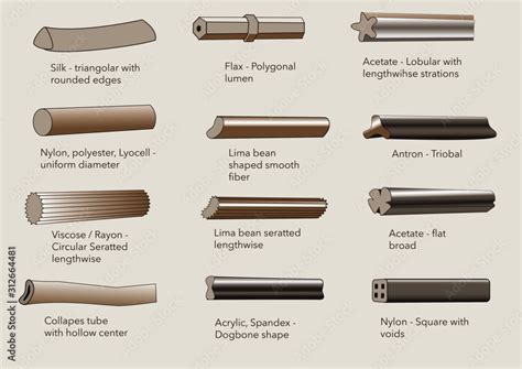 Textile fiber cross-sectional shapes Stock Vector | Adobe Stock