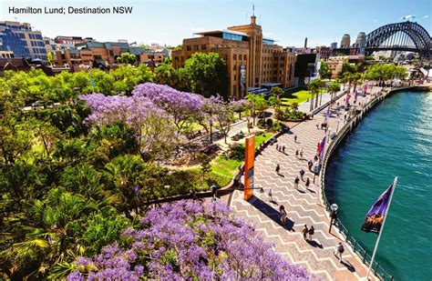 Mercurytravels Best Of Sydney Attractions