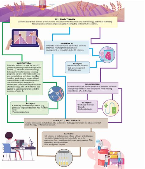 The bioeconomy landscape: examples falling under the bioeconomy ...