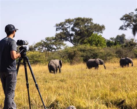 10 Best African Photographic Safaris 2025/2026: Tour Deals & Tips ...