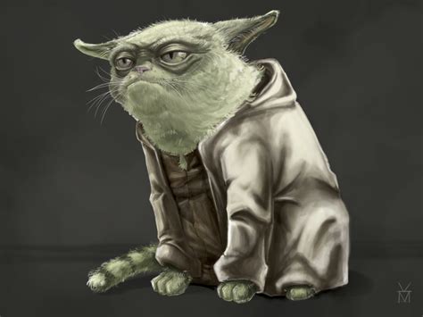 Yoda The Cat by Meg Koszyk on Dribbble