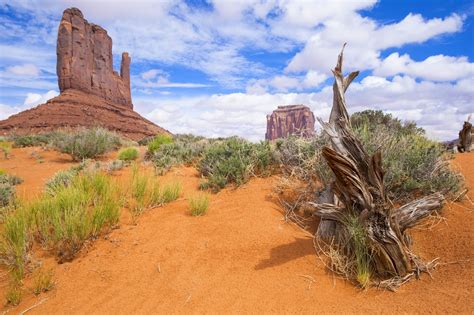 Monument Valley Navajo Tribal Park