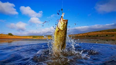 The 12 Best Lures for Lake Fishing in Minnesota