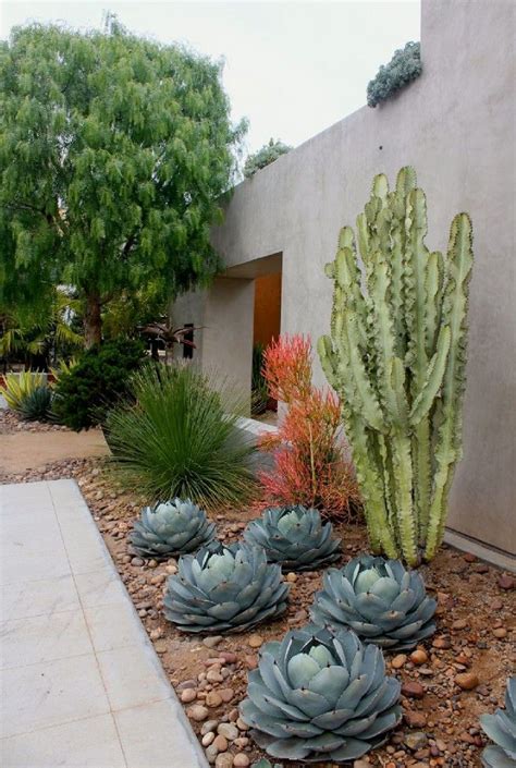 10 Perfect Cactus Garden Design Ideas for Your Garden | Xeriscape front ...