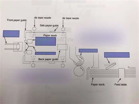 Components of the Feeder System Diagram | Quizlet