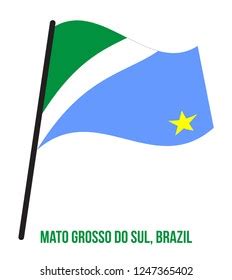 Mato Grosso Do Sul Flag Waving Stock Vector (Royalty Free) 1247365402 ...