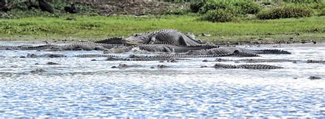 Myakka River State Park Map - Maping Resources