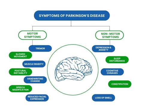 What is Parkinson’s disease? Its Symptoms and Treatments - PMRI Homoeo Hall