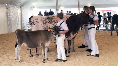 Vermont 4-H'ers Excel at Champlain Valley Fair