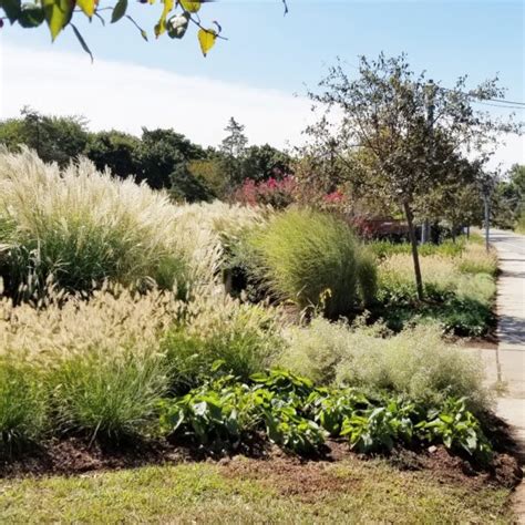 LA Students Give Rutgers Golf Course Entrance a Makeover : Newsroom