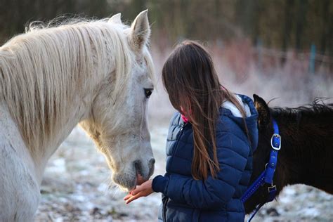 Happy National Day of the Horse! - EasyCare Hoof Boot News