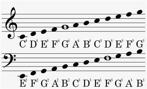 Sheet Music Notes Guide - Bass Clef - 1200x669 PNG Download - PNGkit