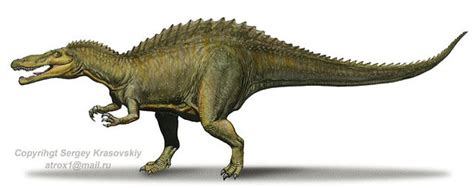 Suchomimus Pictures & Facts - The Dinosaur Database