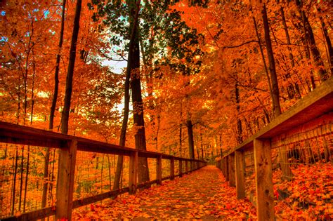 Fall Colors Wallpapers - Top Free Fall Colors Backgrounds - WallpaperAccess