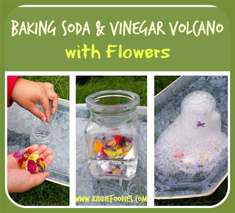 Baking Soda and Vinegar Volcano with Flowers