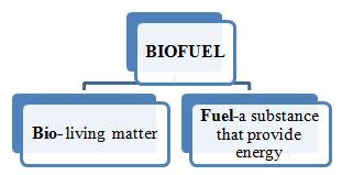 Biofuel: Types, Uses & Examples – StudiousGuy