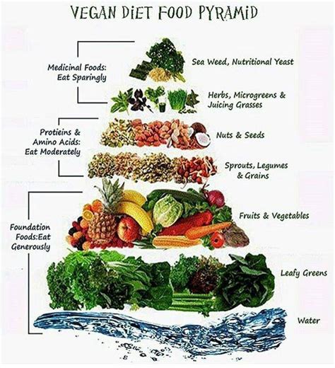 Vegan Food Pyramid | Vegan Green Planet