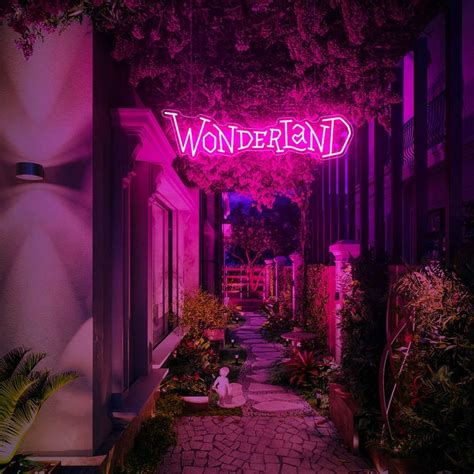 Custom Made Neon Signs, Wonderland Neon Sign, LED Business Sign in 2024 ...