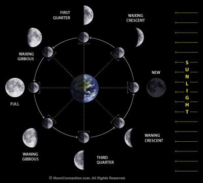 Moon Phases/Eclipses - Emma's Science Page:)