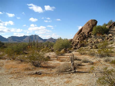 File:Sonoran Desert 33.081359 n112.431507.JPG