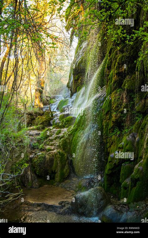 Moss covered rocks under Gorman Falls, Colorado Bend State Park; Texas ...