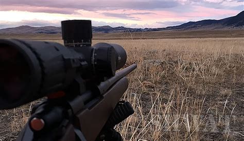 remington-30-06-elk-hunt – SHWAT™