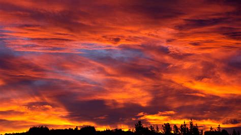 Sunset Sky Trees Bushes Clouds 4K HD Wallpapers | HD Wallpapers | ID #32393