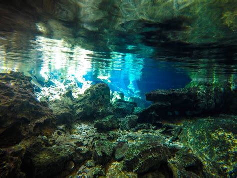 Snorkeling in Cenote Dos Ojos: Exploring an Underwater World » Lavi was ...