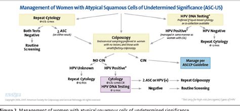 Pap Smear Cytology Chart