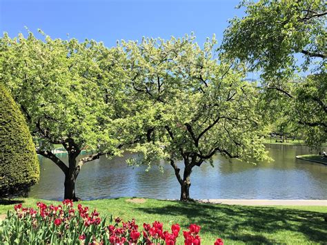 Boston Photos: Boston Public Garden