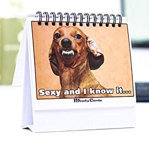 Awesomely Funny Office Gifts That Promise To Make Coworkers Laugh ...