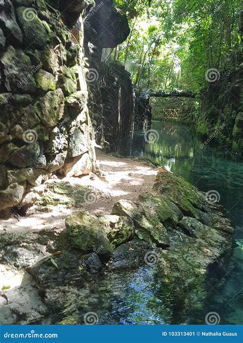 Xcaret eco park stock image. Image of flora, costa, tropic - 103313401