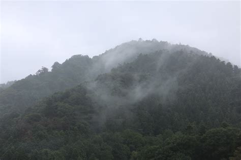 Free Images : forest, fog, mist, morning, valley, mountain range ...