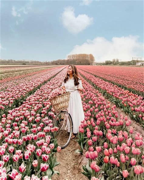 Best Tips for Visiting Tulip Fields in the Netherlands: Where, When ...