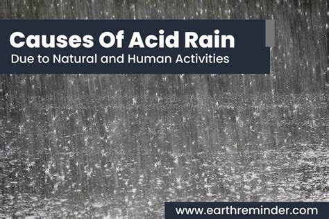 Main Causes of Acid Rain: By Natural and Human Activities