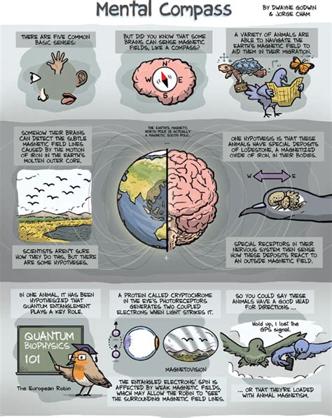 Why Some Animals Have a Head for Directions [Cartoon] | Scientific American