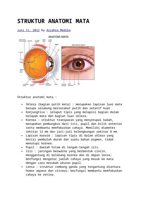 (DOCX) Struktur Anatomi Mata - DOKUMEN.TIPS