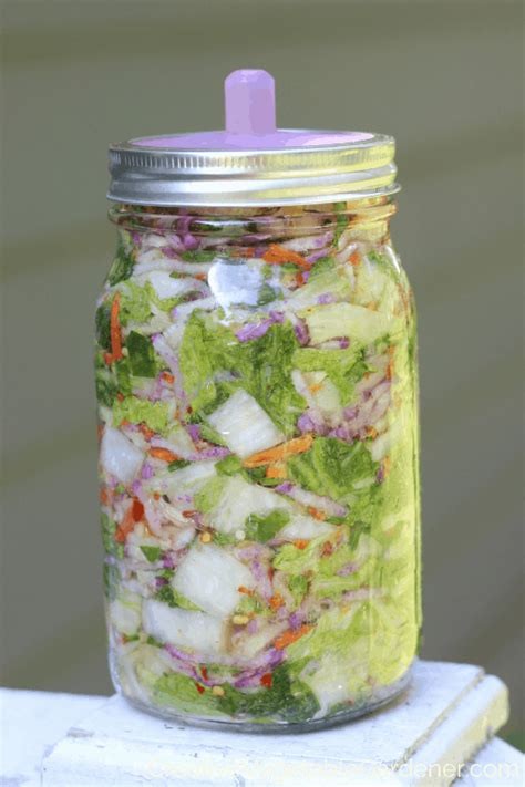 Creative Vegetable Gardener:5 No-Fail Fermented Food Recipes for ...