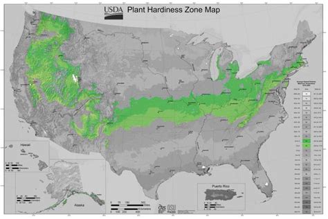 Garden Planting Schedule Zone 6 | Fasci Garden