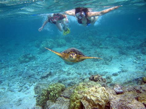 Kona Chronicles: Snorkeling near Kona Town, Hawaii | Active Junky